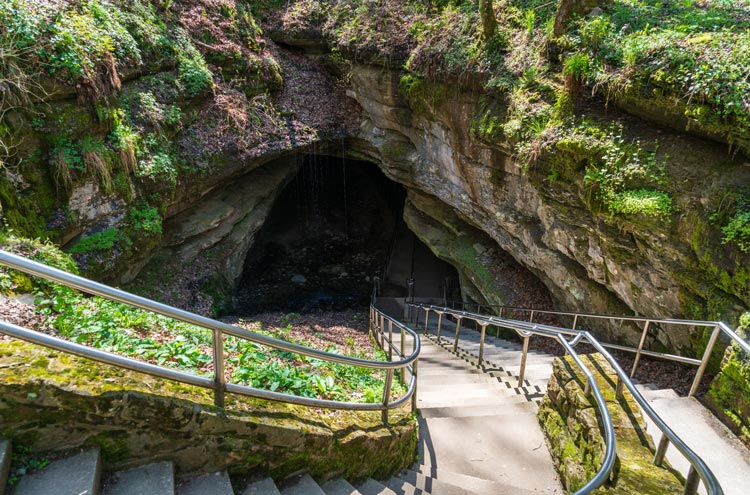 Parque Nacional Mammoth Cave Estados Unidos