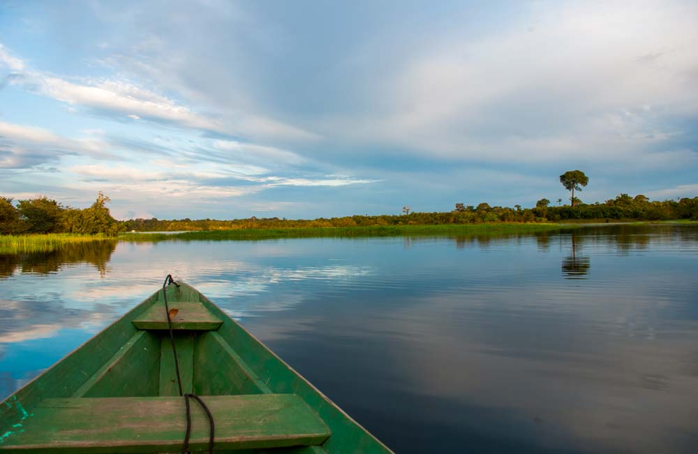 El Río Amazonas: Descubre este Impresionante Tesoro de la Biosfera