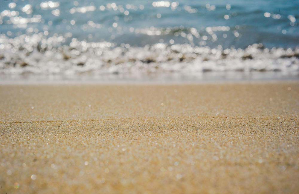 Ocio en Elche: 4 actividades recreativas para pasar el rato en el “Oasis Mediterraneo”