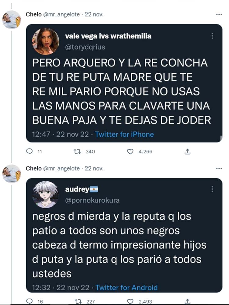 Insultos Argentinos Twitter 02