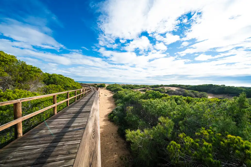clot de galvany Elx paraje natural
