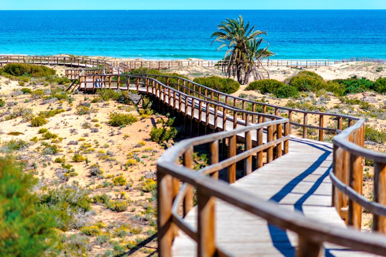 Playa de los Arenales del Sol Elche