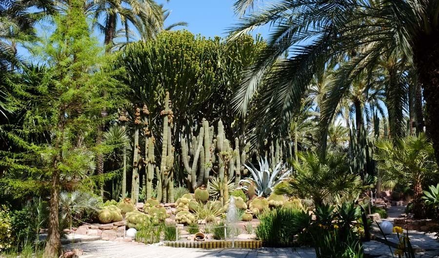 Huerto del Cura Elche | Jardín Artístico Nacional