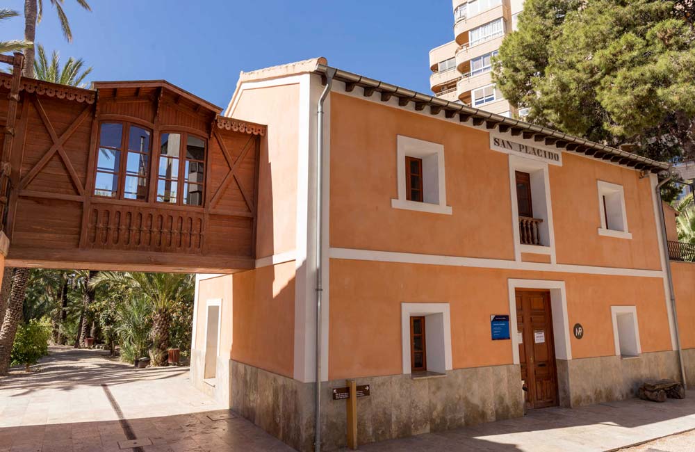 Museo del Palmeral de Elche: Conociendo nuestro Patrimonio