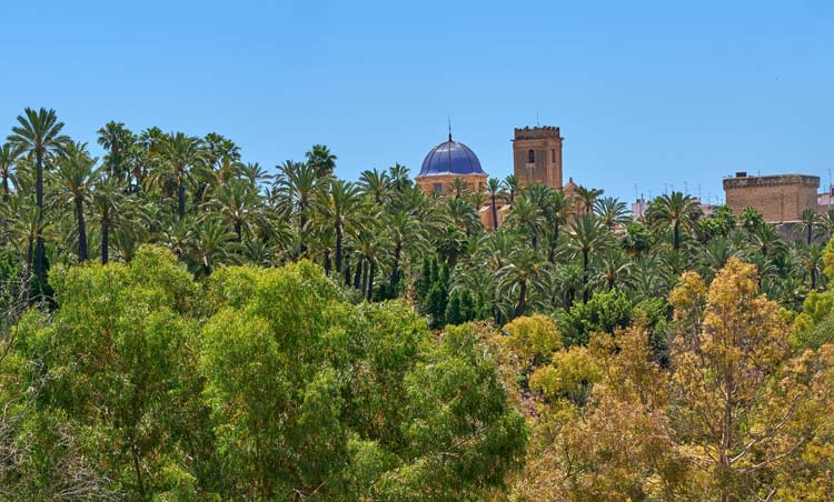 Palmeral de Elche Palacio de Altamira