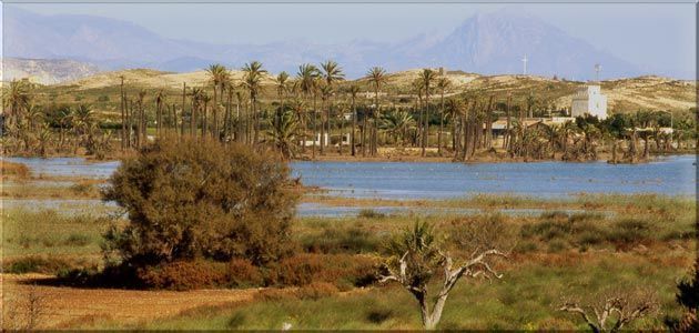 Clot de Galvany, Paraje Natural Elche