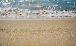 Ocio en Elche: 4 actividades recreativas para pasar el rato en el “Oasis Mediterraneo”