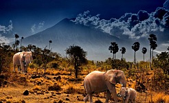 8 Fabulosos Entornos Naturales de África