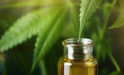 CBD: ¿Una solución para el bienestar o una tendencia pasajera?