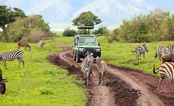 Cuando un viaje trasciende la emoción: descubre la esencia de África con un safari en Tanzania