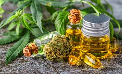 Beneficios del CBD: Todo lo que debes saber