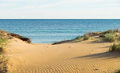 Playas de Elche, conoce las seis playas del litoral ilicitano