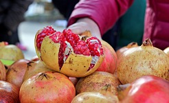 La Agricultura en Elche: Tradición e Innovación en el Camp d’Elx