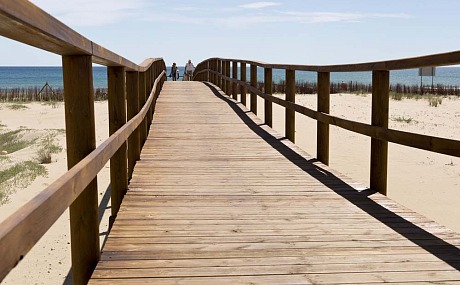 Descubre las 6 Playas de Elche: Un Paraíso Natural en la Costa Blanca