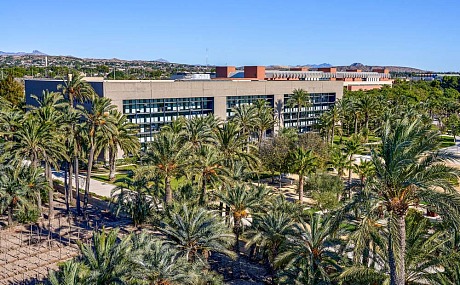 Elche como ciudad universitaria: oportunidades, desafíos y recursos para los estudiantes