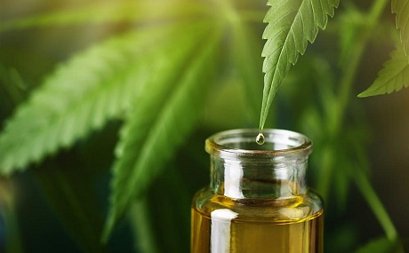 CBD: ¿Una solución para el bienestar o una tendencia pasajera?