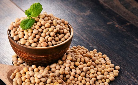 Nutrición basada en plantas: Explorando las ventajas de la proteína de soja