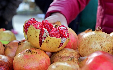 La Agricultura en Elche: Tradición e Innovación en el Camp d’Elx