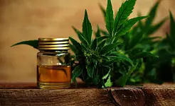 ¿Es legal el CBD en España? Normativa, usos y límites permitidos