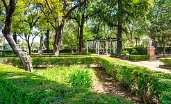 Urban Green Spaces and Health in Elche