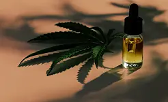 Hash CBD: qué es, para qué sirve y cómo elegir un producto de calidad