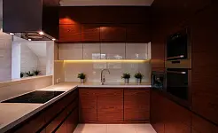 Guía Completa de Electrodomésticos: Todo lo que Debes Saber para Renovar tu Hogar