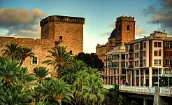Palmeral de Elche y el centro histórico de Elche