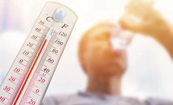 Las Olas de Calor en Elche: Un Análisis Histórico desde los Datos Meteorológicos