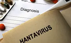 El Hantavirus: Una Amenaza Silenciosa desde la Naturaleza