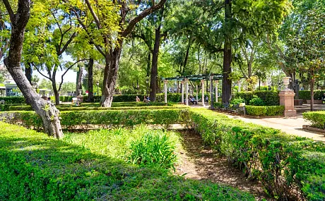 Urban Green Spaces and Health in Elche